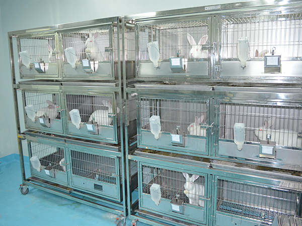 动物实验室ky(中国)方法