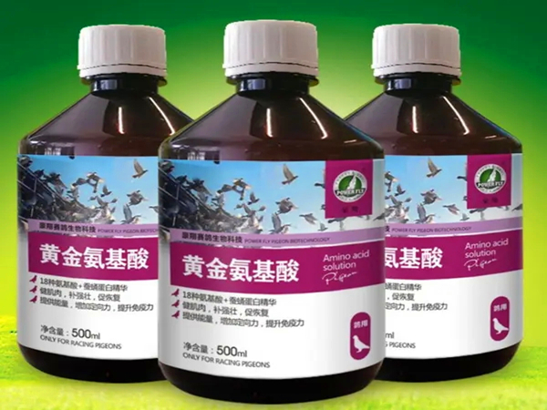 氨基酸ky(中国)