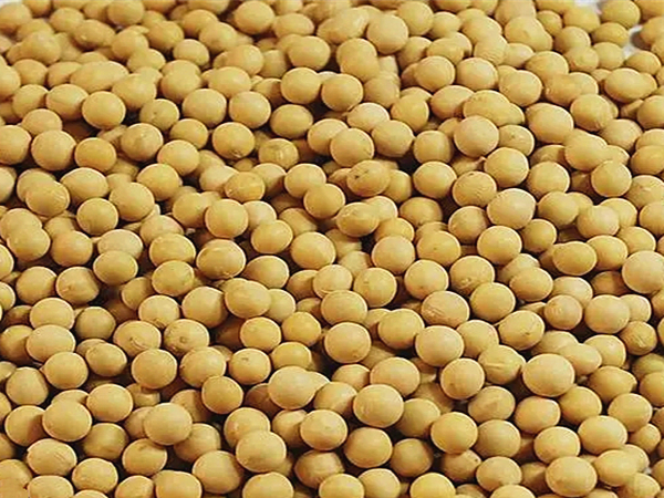 大豆油脂ky(中国)工艺