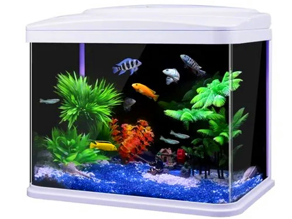 水族箱ky(中国)方法